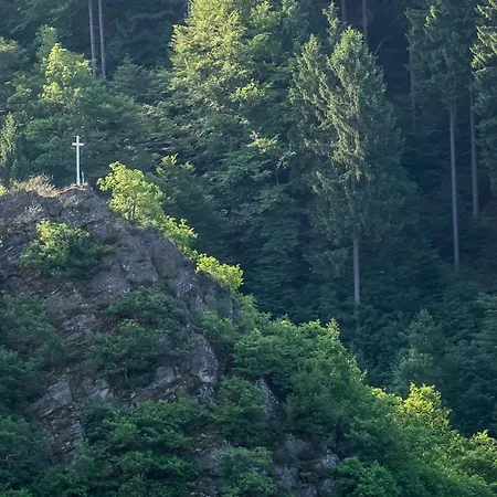 In Mit Whirlpool Apartment Waldbreitbach