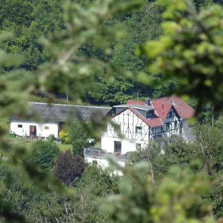 Apartment In Mit Whirlpool Waldbreitbach